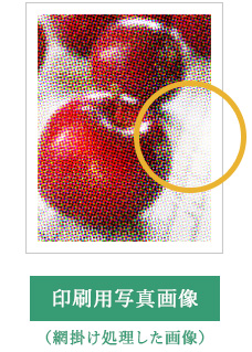 印刷用写真画像